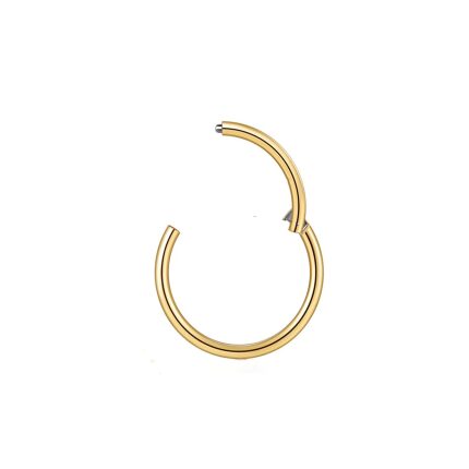 Segment Ring Piercing Clicker  – Χρυσό Κρικάκι με μεντεσέ