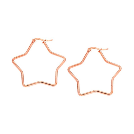 Σκουλαρίκια  Steel 4 cm Rose Gold Plated