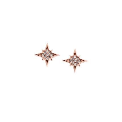 Σκουλαρίκια Γυναικεία  ροζ επιχρυσωμένο ασήμι 925, αστεράκια με λευκά ζιργκόν