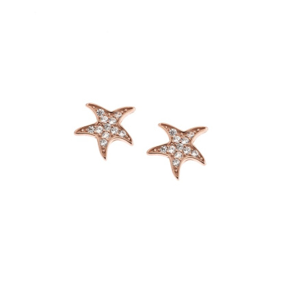 Σκουλαρίκια Γυναικεία  ροζ επιχρυσωμένο ασήμι 925, αστερίας με λευκά ζιργκόν