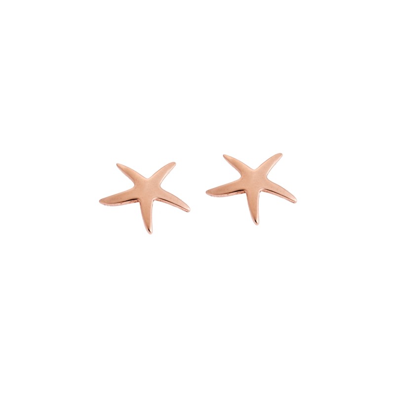 Σκουλαρίκια Γυναικεία  ροζ επιχρυσωμένο ασήμι 925, με σχέδιο αστερία