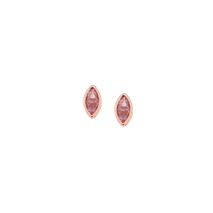 Σκουλαρίκια  ροζ επιχρυσωμένο ασήμι 925, φύλλο με ροζ ζιργκόν