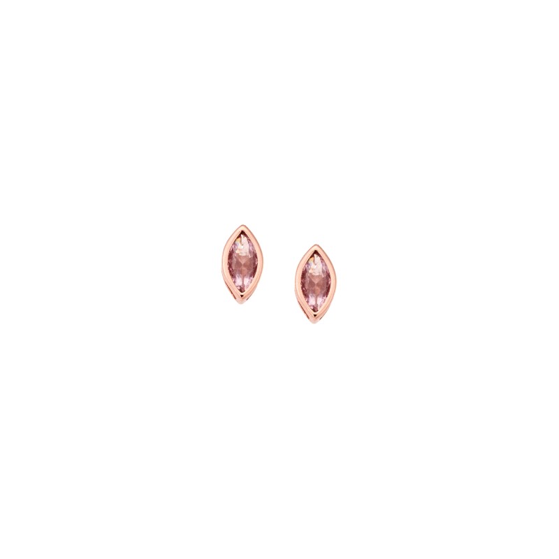 Σκουλαρίκια  ροζ επιχρυσωμένο ασήμι 925, φύλλο με ροζ ζιργκόν