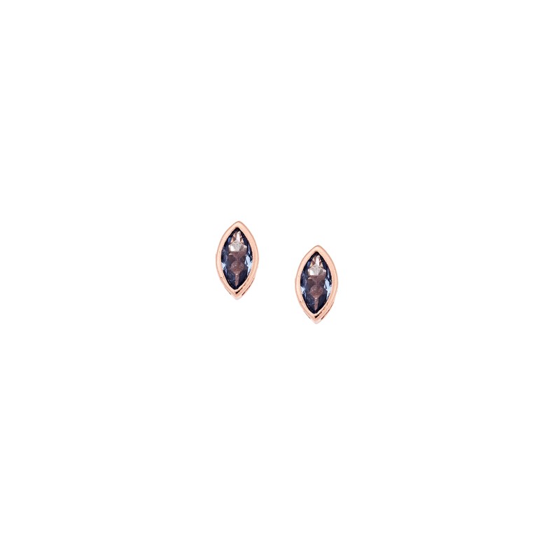 Σκουλαρίκια  ροζ επιχρυσωμένο ασήμι 925, φύλλο με γαλάζιο ζιργκόν