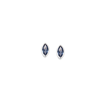 Σκουλαρίκια  ασήμι 925, φύλλο με γαλάζιο ζιργκόν